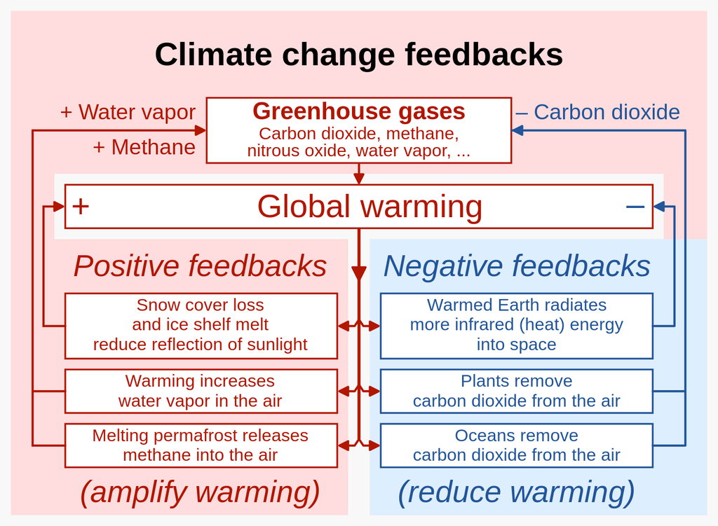 Climate change feedback loops