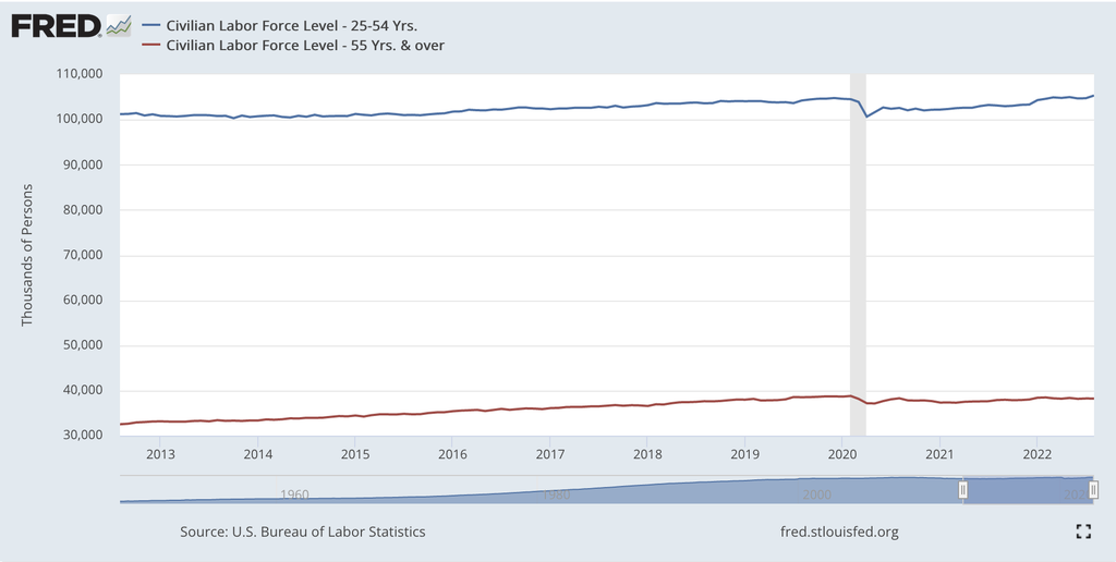 Labour force level by age