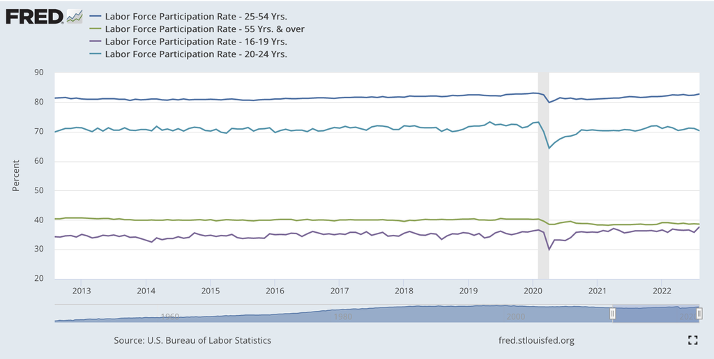 Participation rate by age